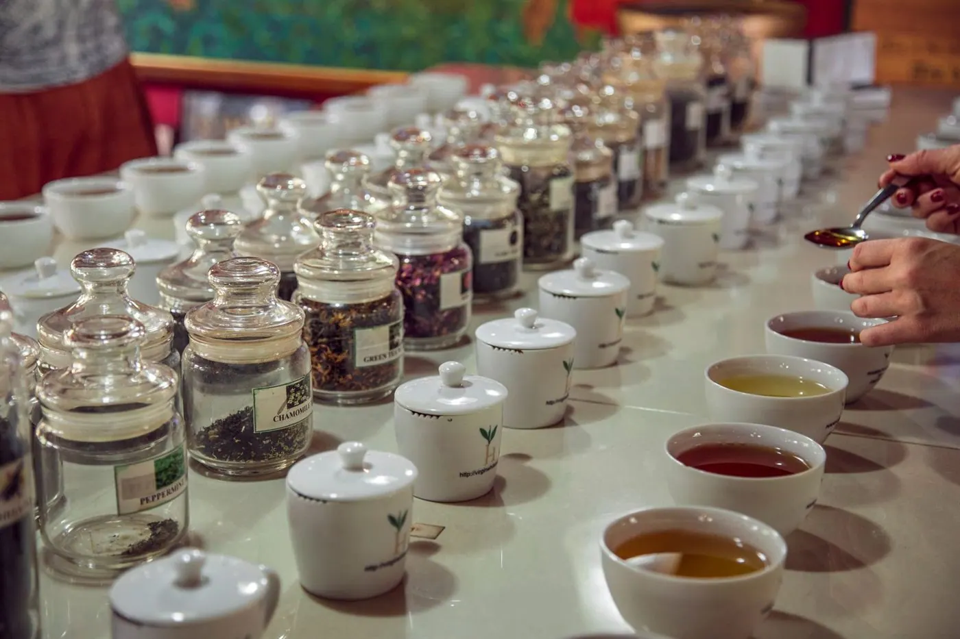 Tazas de té alineadas para una sesión de degustación